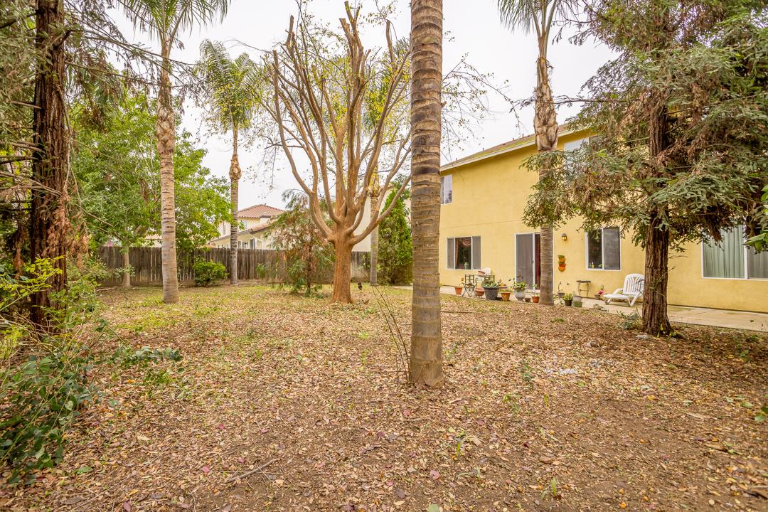 2563 Riviera Court Tulare, CA 93274 - Photo 12 of 31 a view of a yard with a large tree