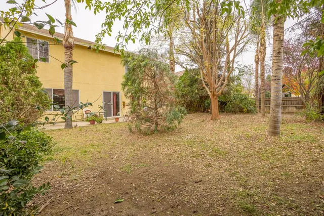 a view of a yard with a large tree