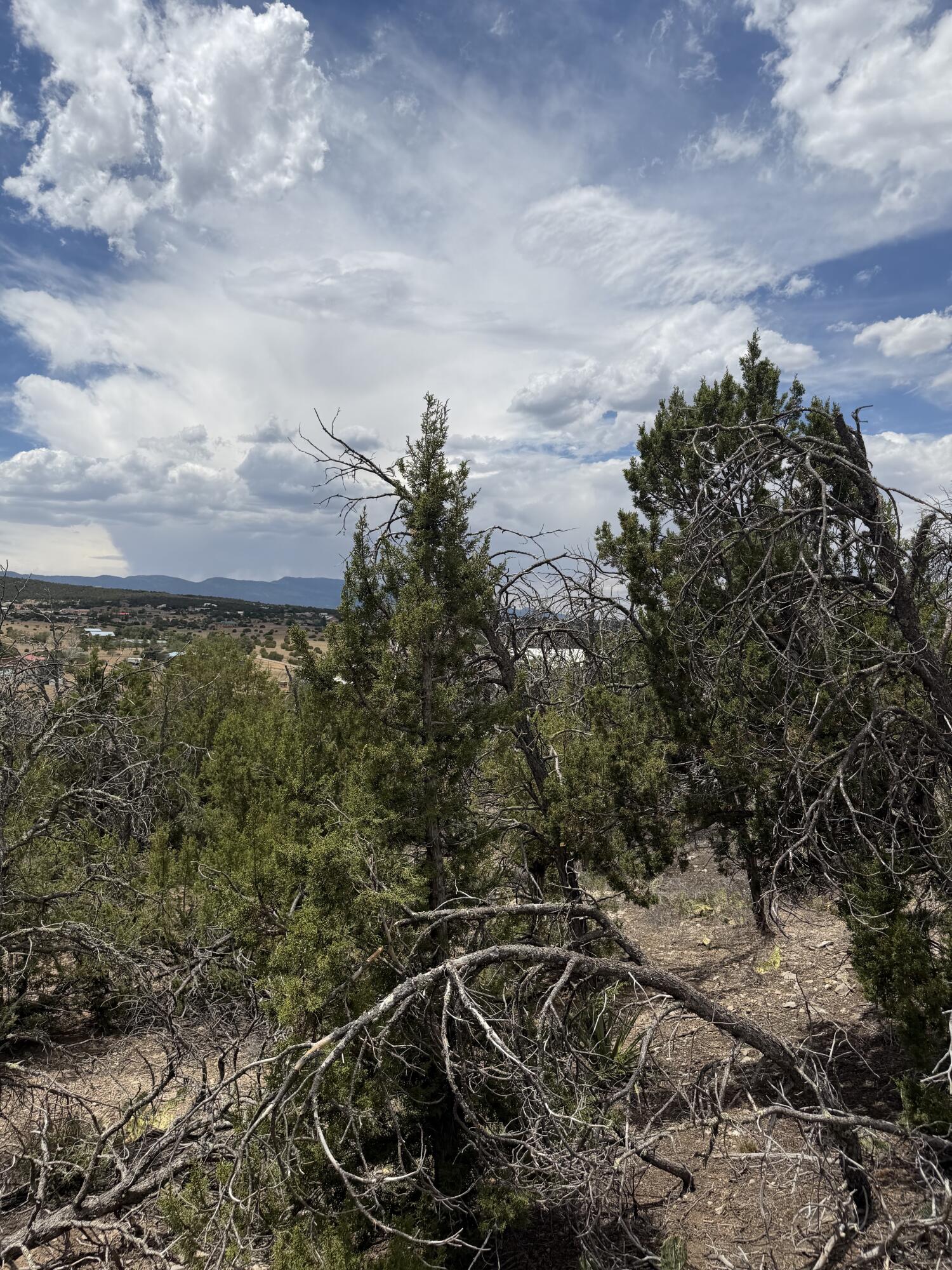 0 County Line Road Edgewood, NM 87015 - Photo 9 of 20 Gallery Image 9
