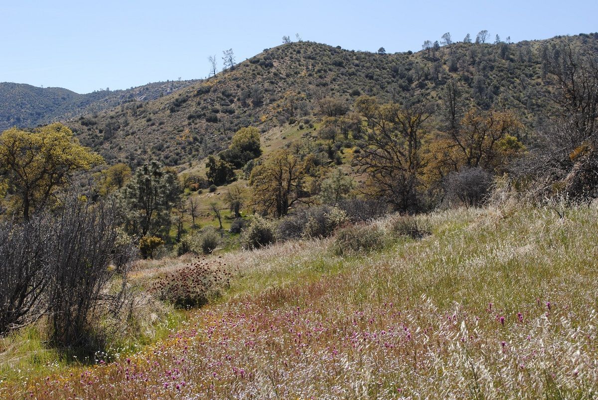Old State Road Wofford Heights, CA 93285 - Photo 31 of 33 Gallery Image 31