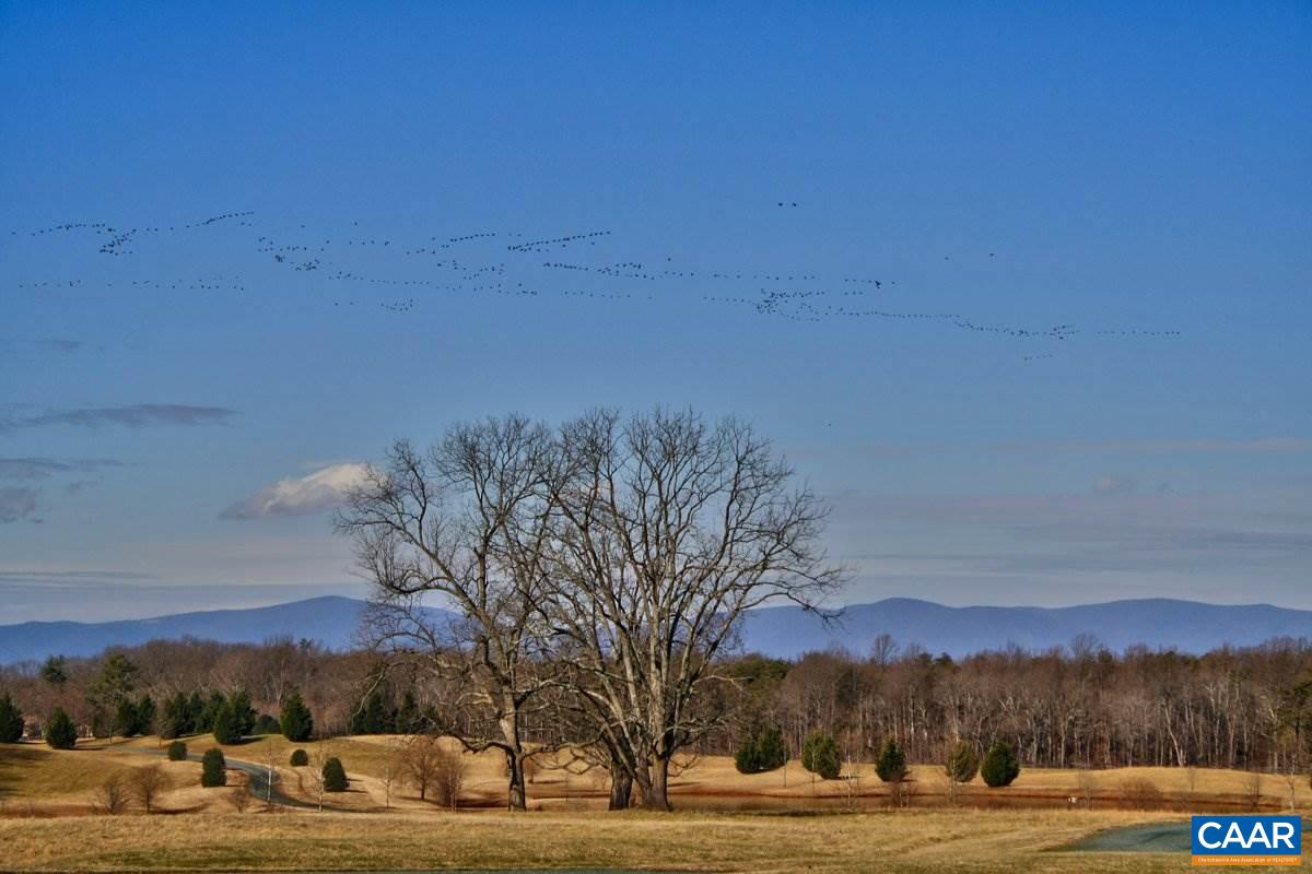 5785 Stony Point Road Barboursville, VA 22923 - Photo 8 of 51 a view of a road with mountains in the background