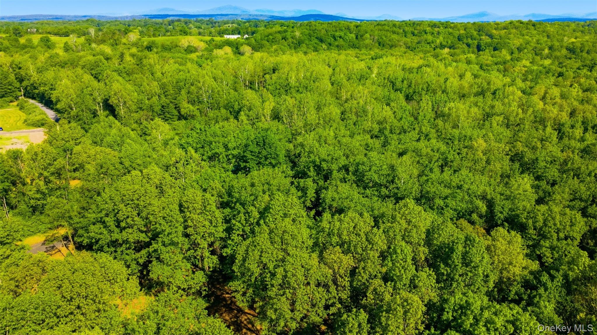 238 Bruceville Road High Falls, NY 12440 - Photo 8 of 15
