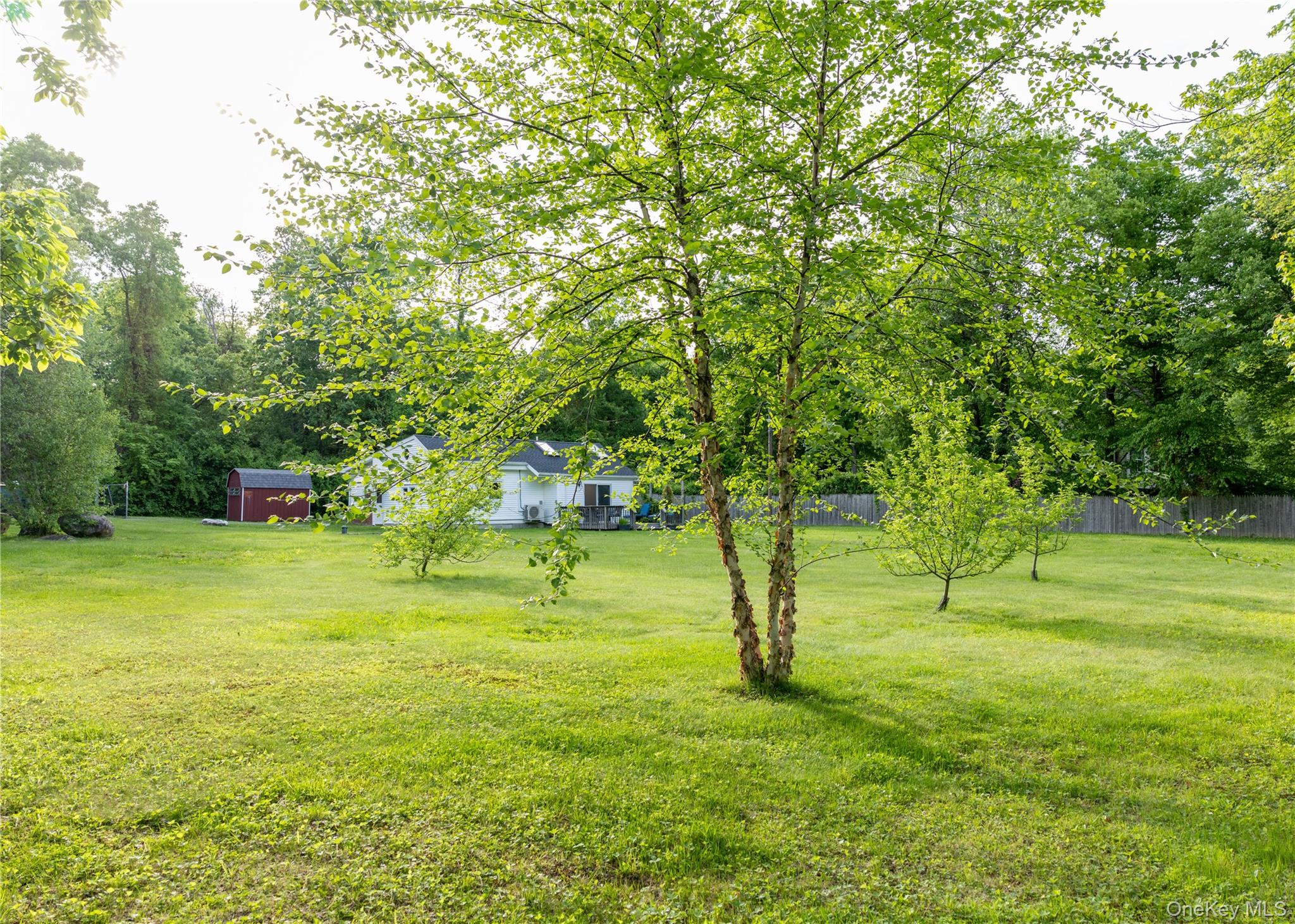 23 Lucille Road Carmel, NY 10512 - Photo 33 of 44 a view of yard with small trees