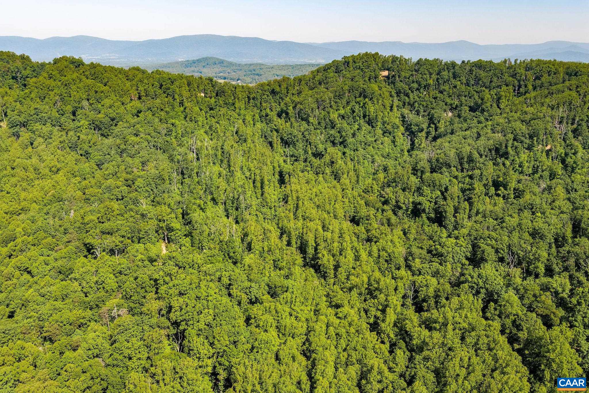 Tbd Poorhouse Road Charlottesville, VA 22903 - Photo 6 of 28 a view of a lush green forest with a mountain