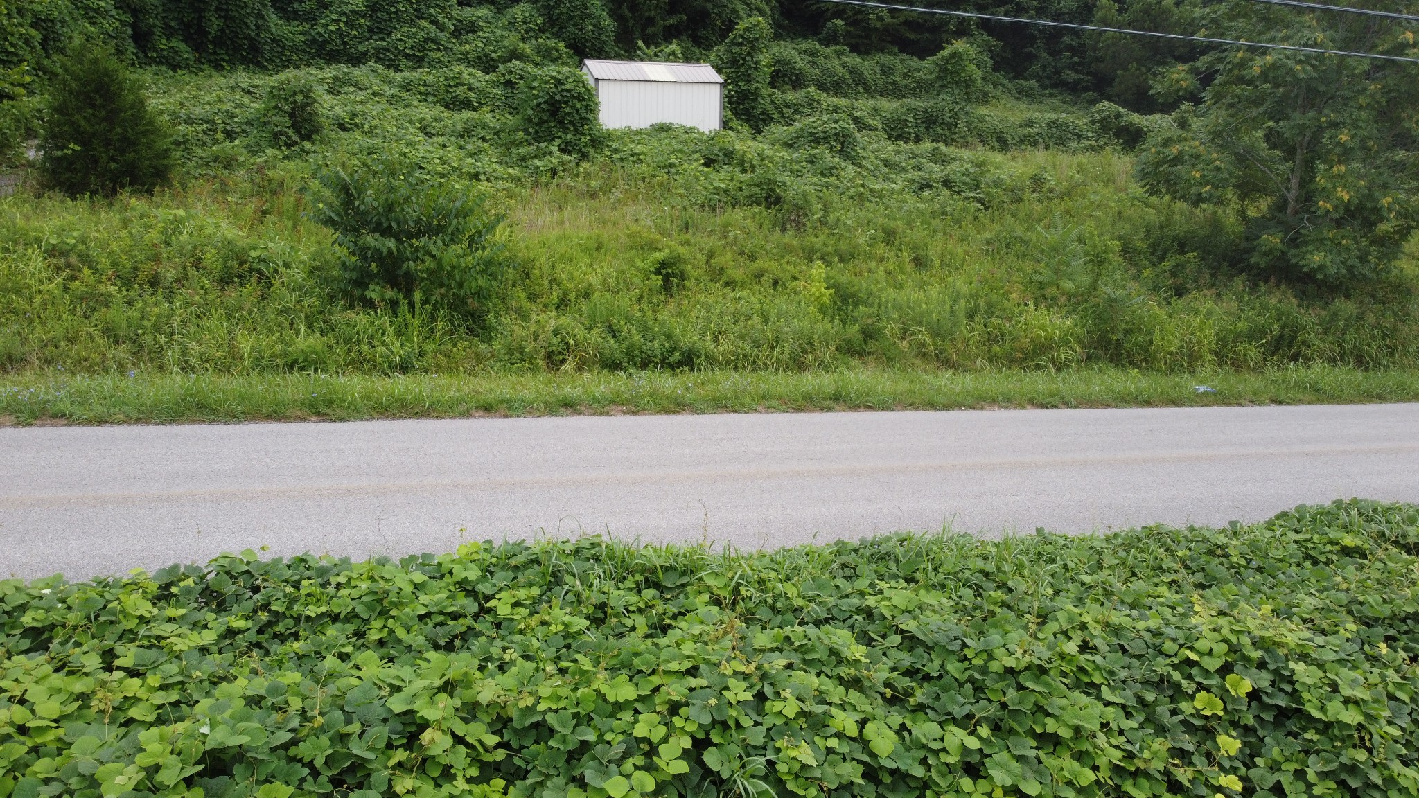 3060 Franks Ferry Road Sparta, TN 38583 - Photo 1 of 12 Gallery Image 1