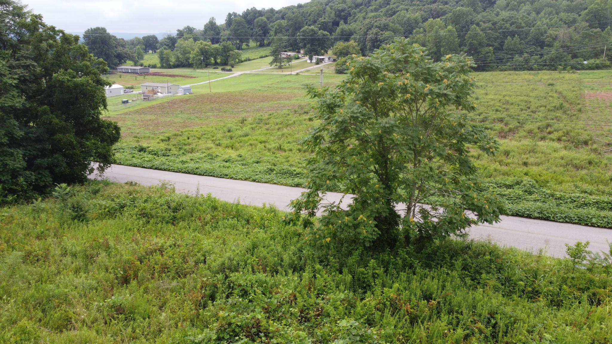 3060 Franks Ferry Road Sparta, TN 38583 - Photo 3 of 12 Gallery Image 3