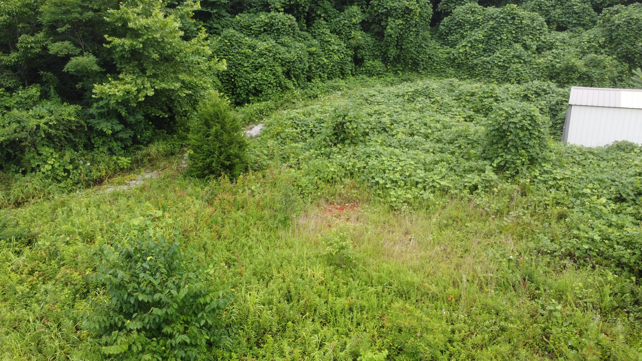 3060 Franks Ferry Road Sparta, TN 38583 - Photo 7 of 12 Gallery Image 7