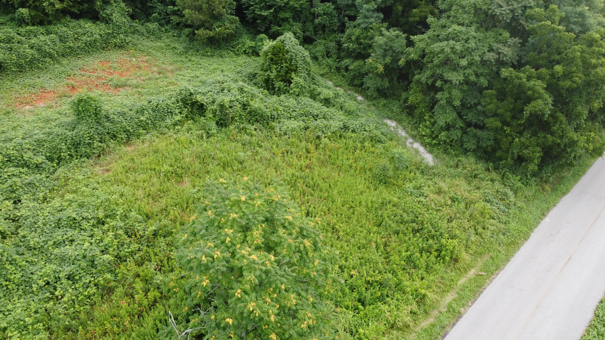 3060 Franks Ferry Road Sparta, TN 38583 - Photo 9 of 12 Gallery Image 9