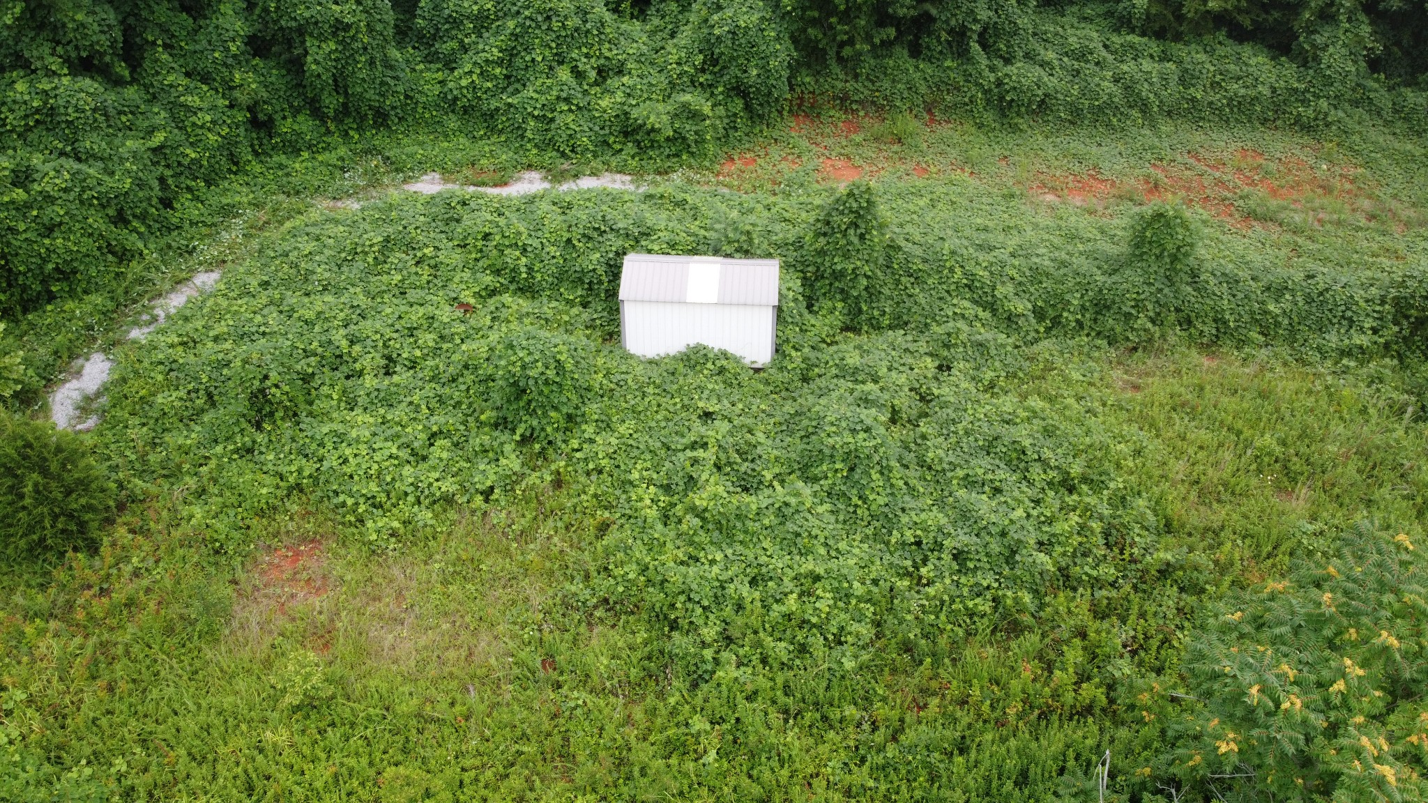 3060 Franks Ferry Road Sparta, TN 38583 - Photo 10 of 12 Gallery Image 10