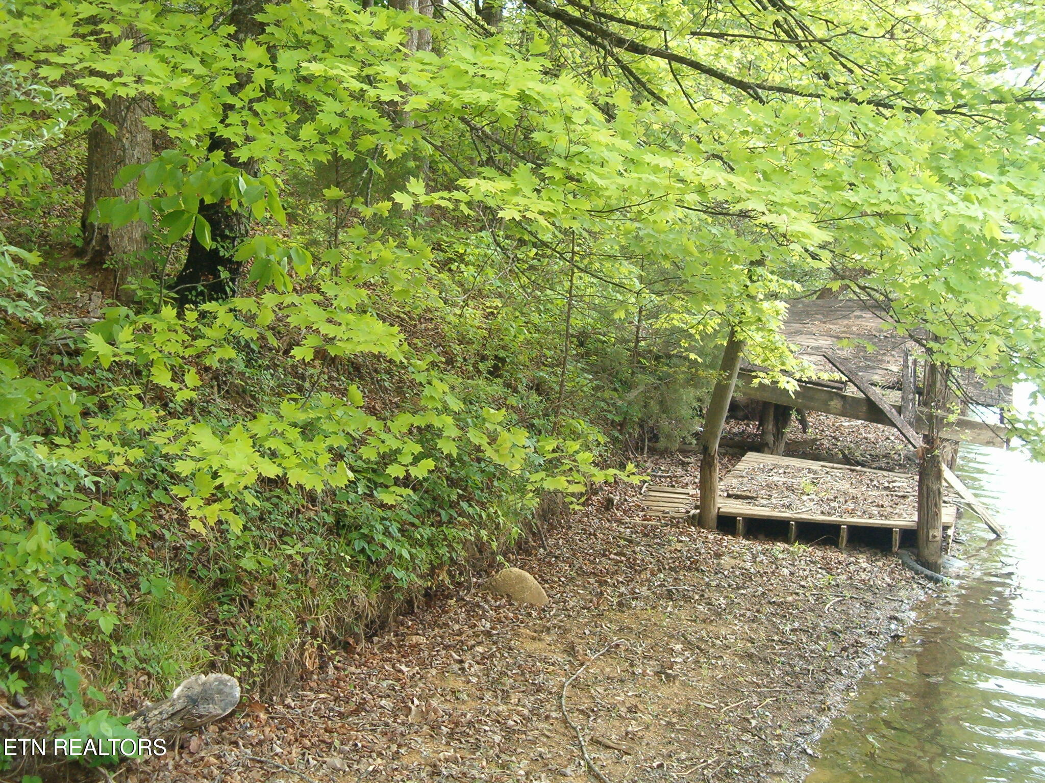 Centers Patton Road Harriman, TN 37748 - Photo 2 of 8 HPIM4166