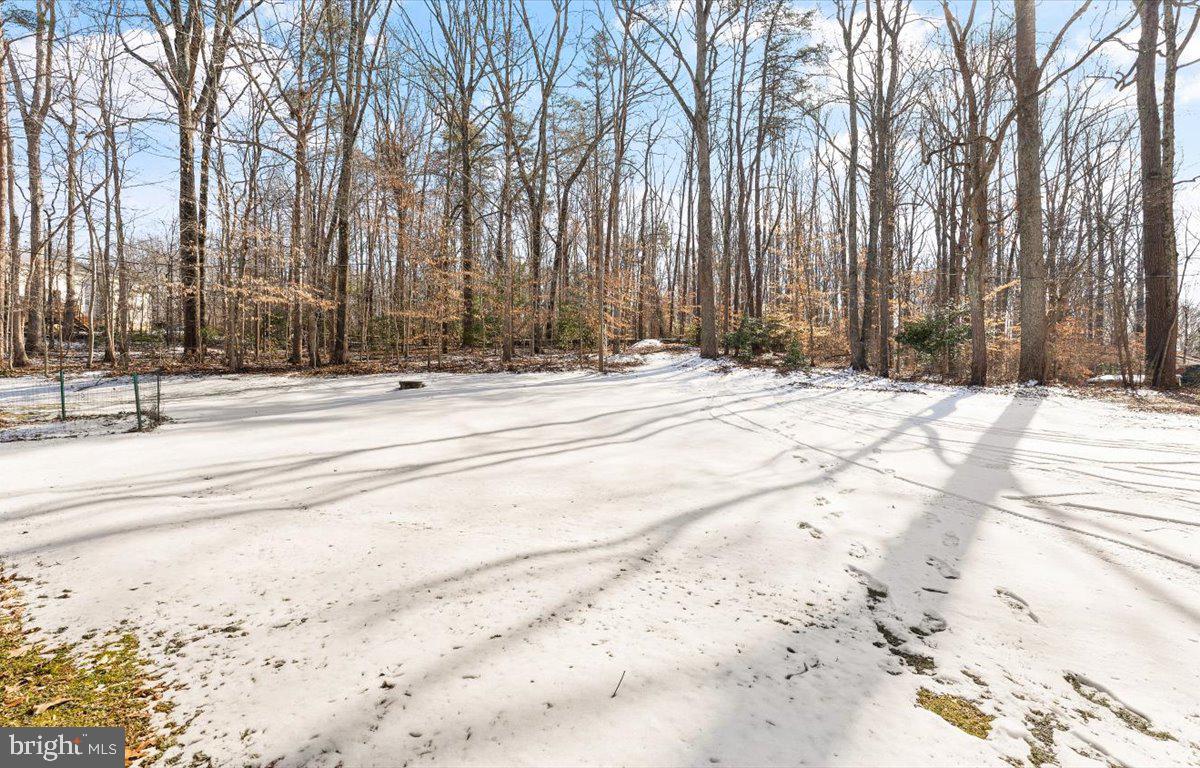 12620 Kahns Road Manassas, VA 20112 - Photo 66 of 68 RFear yard