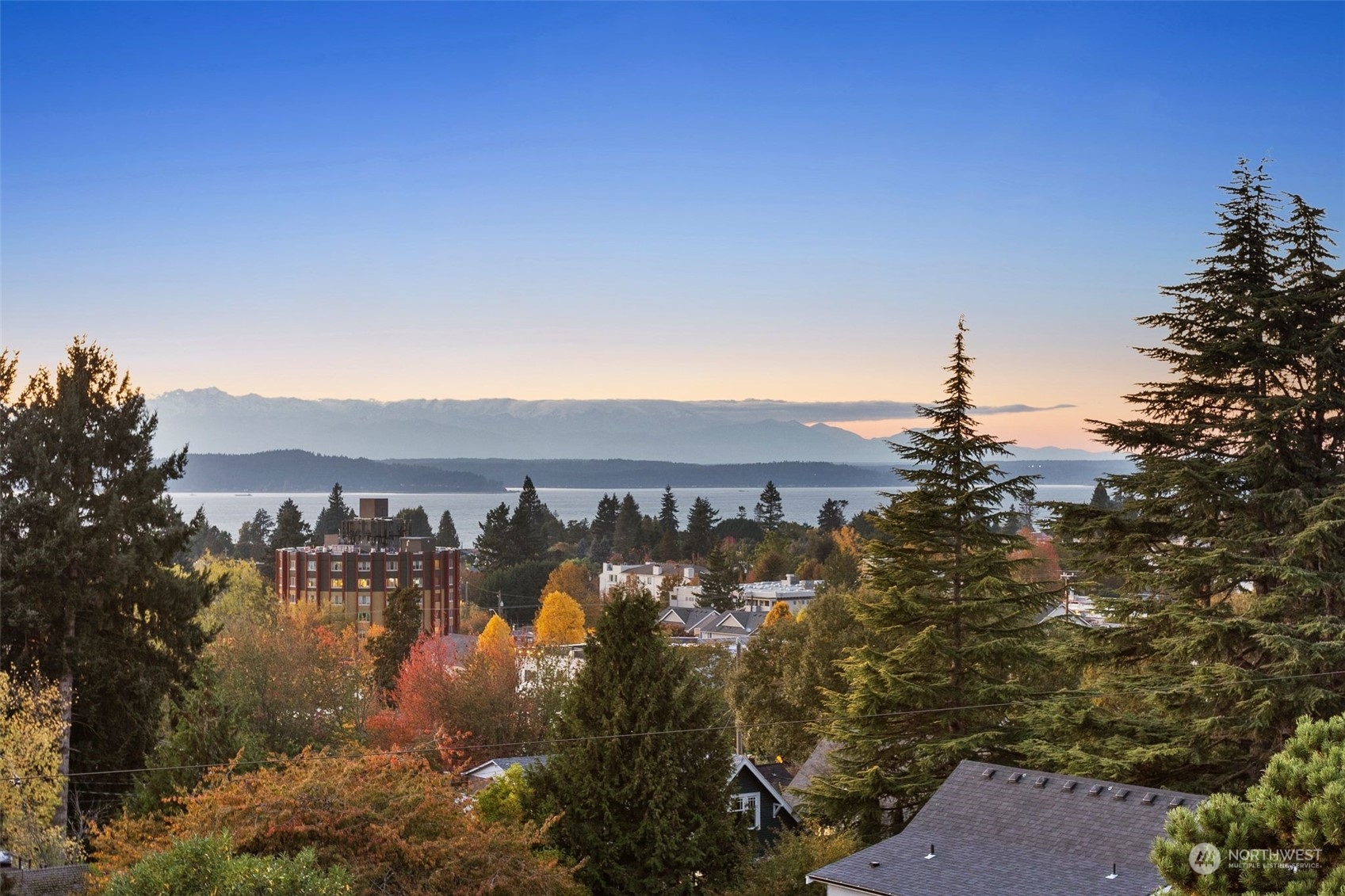 6601 39th Avenue Southwest Seattle, WA 98136 - Photo 40 of 40 a view of a town with mountains in the background