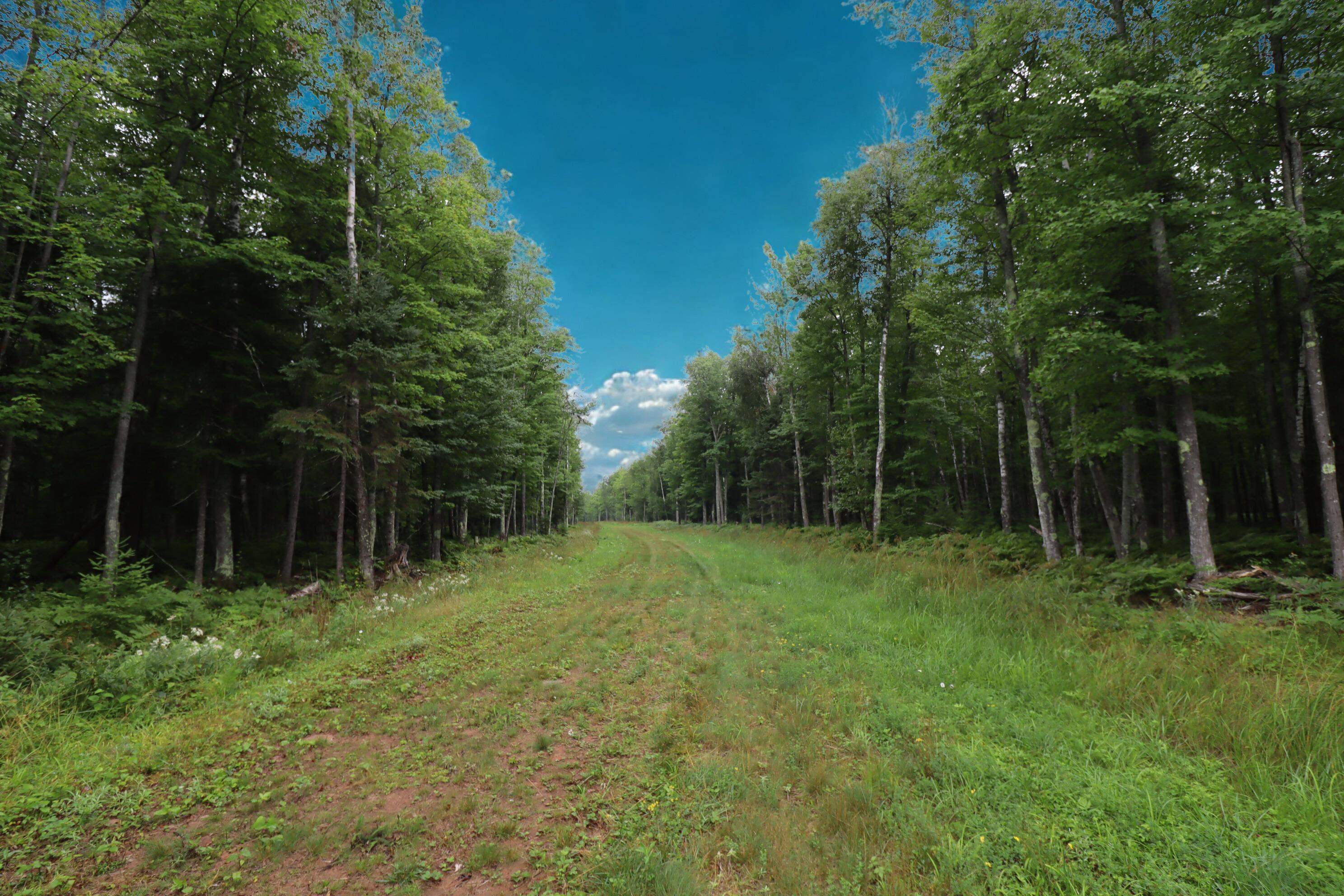 2-6 Romans Point Road Herbster, WI 54844 - Photo 9 of 11