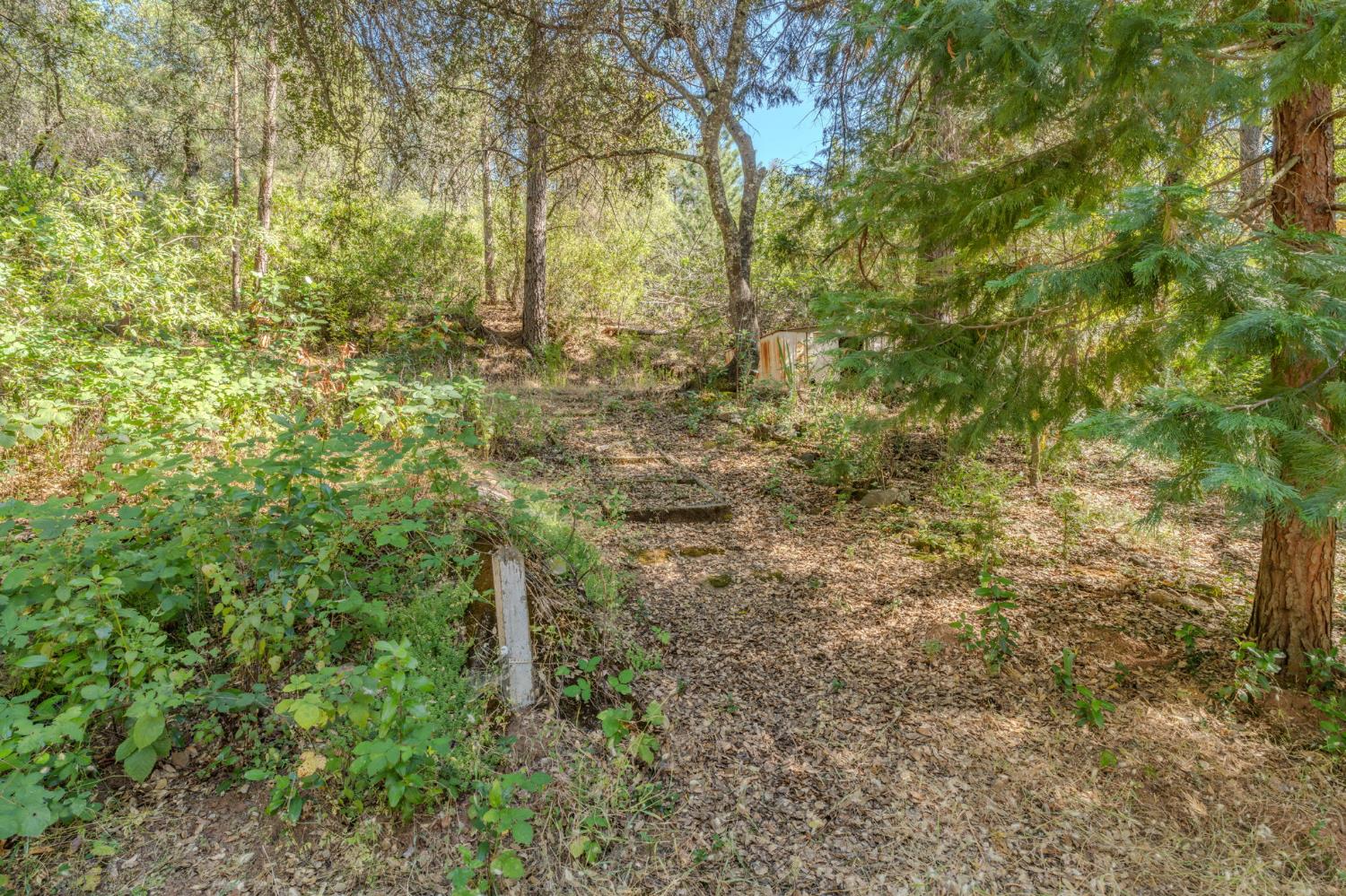 6240 Michel Road Mountain Ranch, CA 95246 - Photo 84 of 92