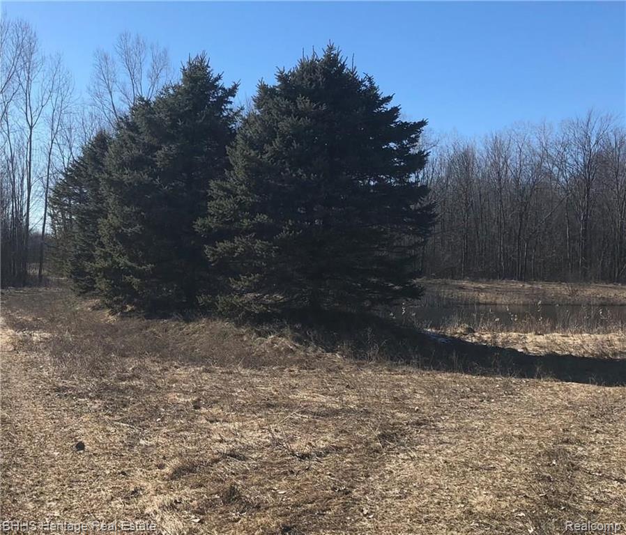 V/l Horn Road Fowlerville, MI 48836 - Photo 1 of 9 Gallery Image 1