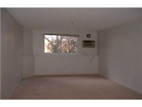 113 Cluff Crossing Road, Unit 11 Salem, NH 03079 - Photo 5 of 8