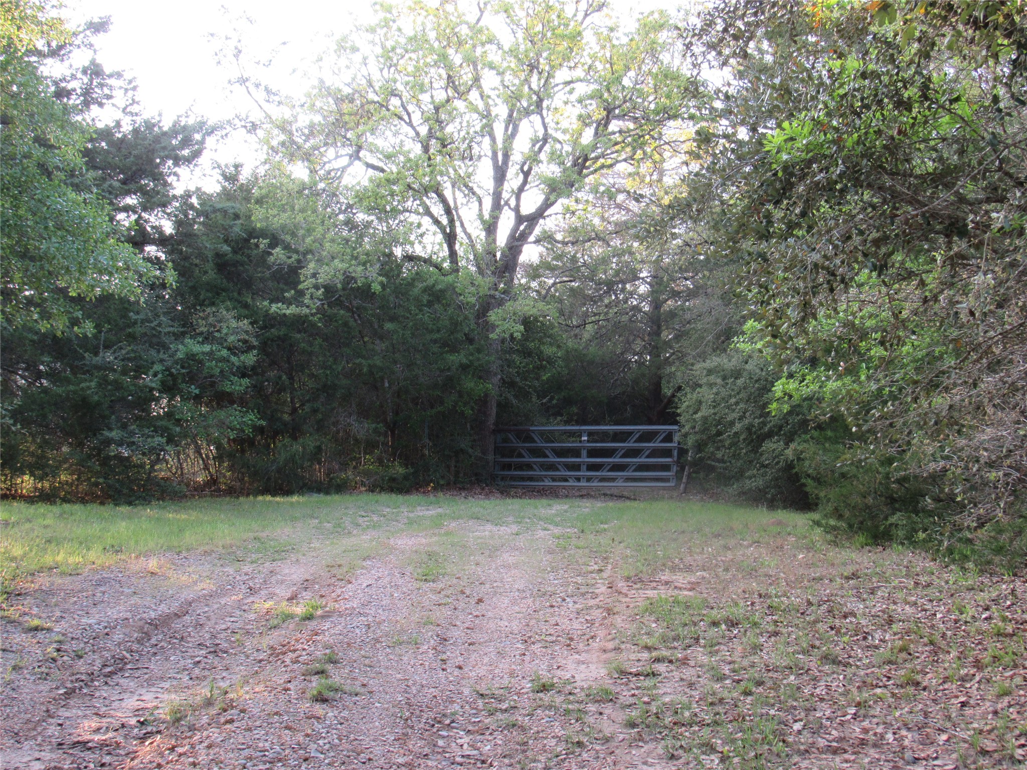 7515 Shelby Road Burton, TX 77835 - Photo 26 of 31 Gallery Image 26