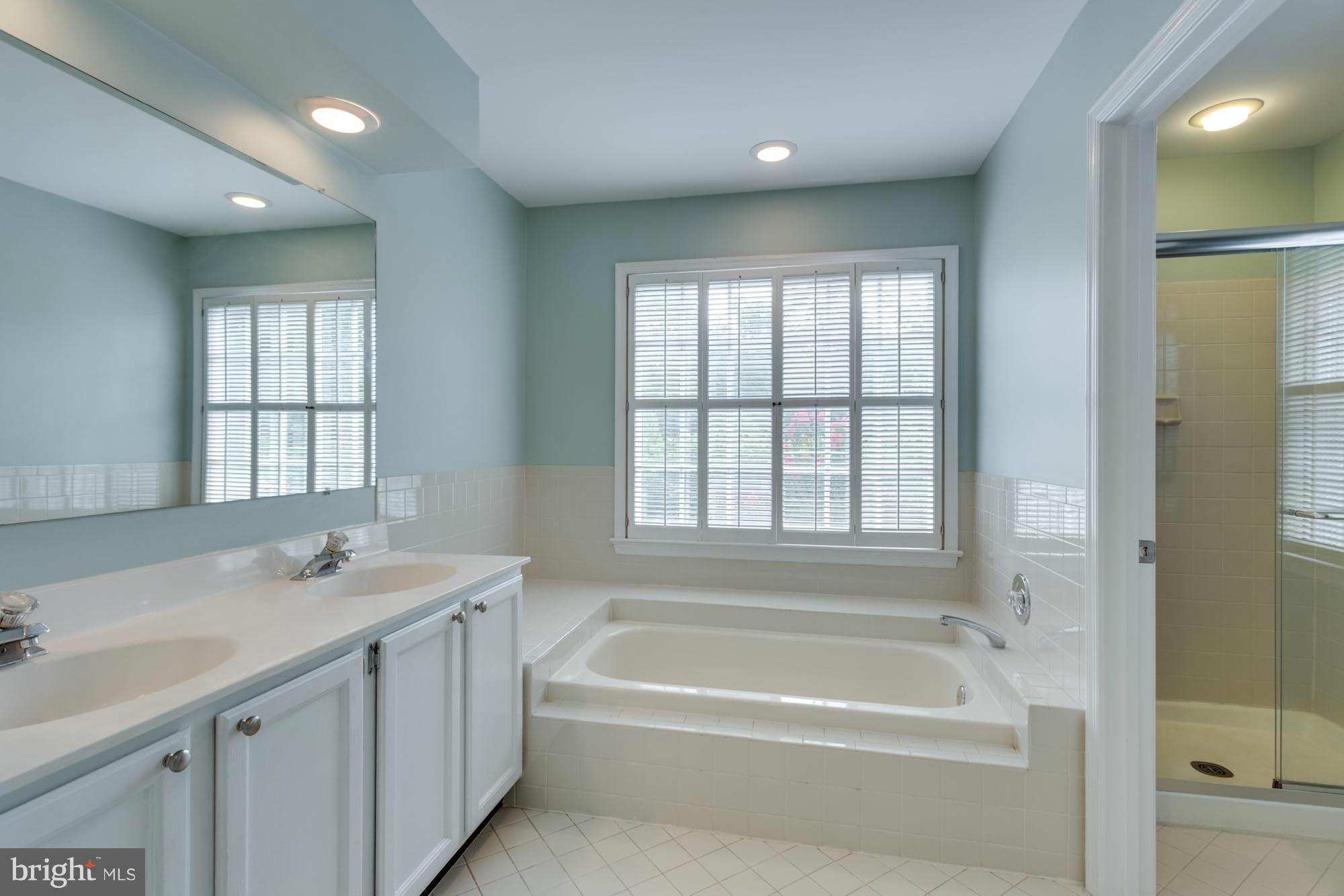 11607 Springhouse Place Reston, VA 20194 - Photo 17 of 28 Bath (Master)
