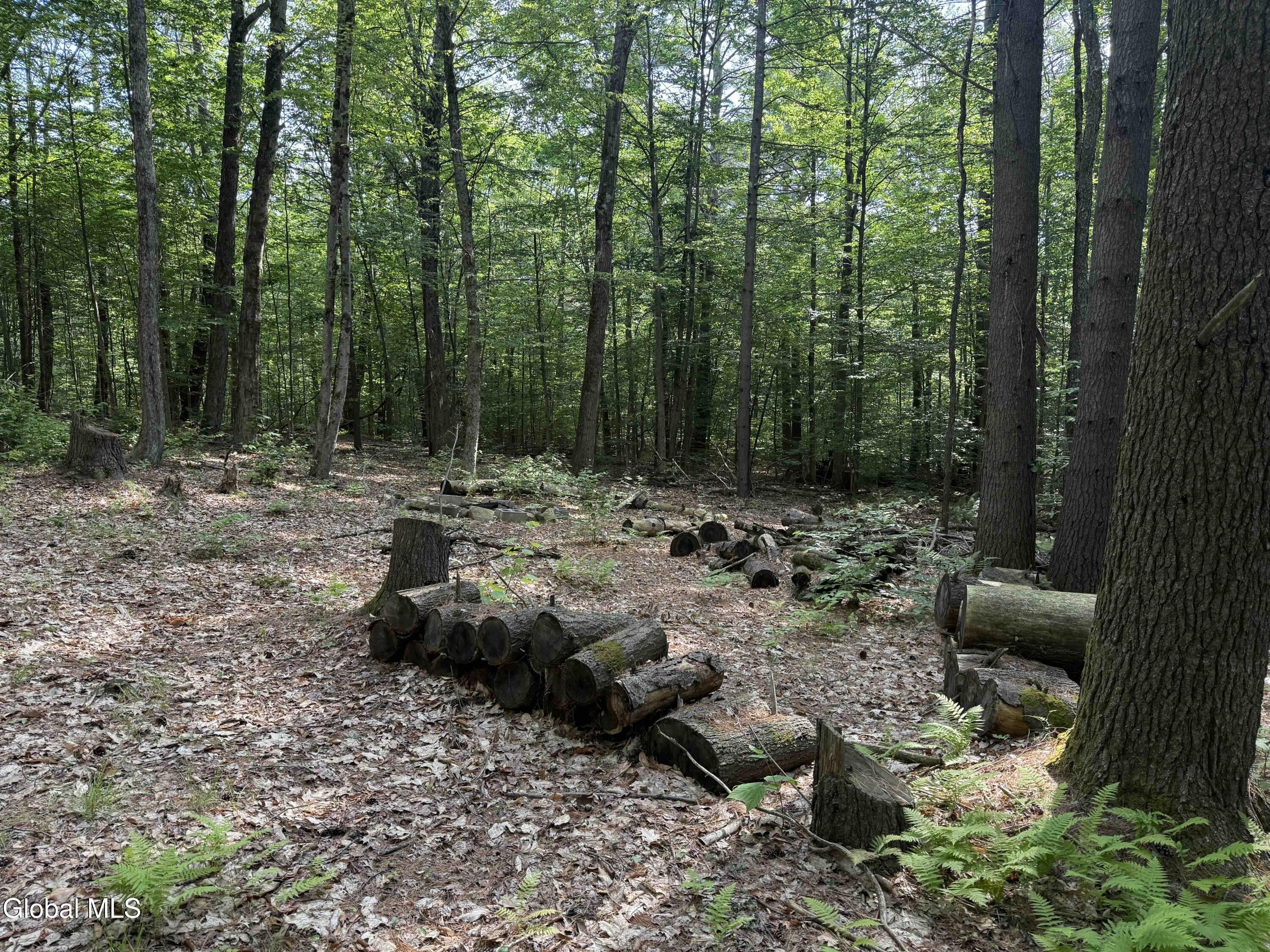 L3 Maple Grove Road Northville, NY 12134 - Photo 12 of 23 Buyea3.5ac11