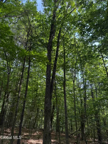 $49,800 | L3 Maple Grove Road, Northville, NY 12134