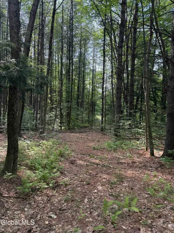 $49,800 | L3 Maple Grove Road, Northville, NY 12134