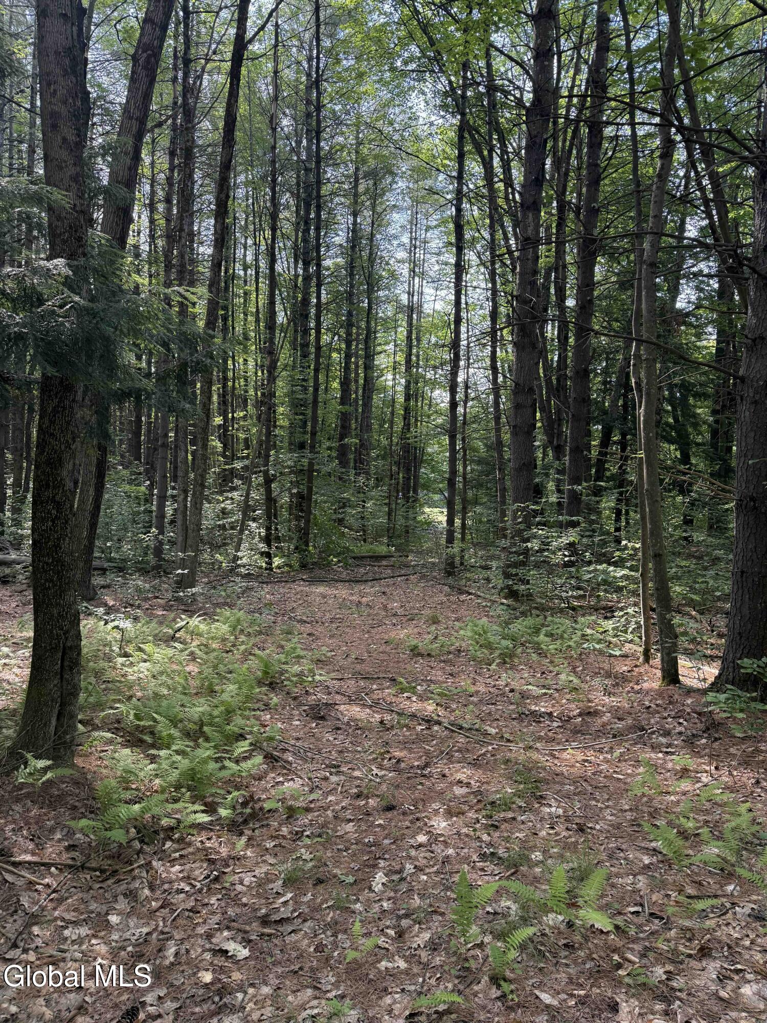 L3 Maple Grove Road Northville, NY 12134 - Photo 15 of 23 Buyea3.5ac14