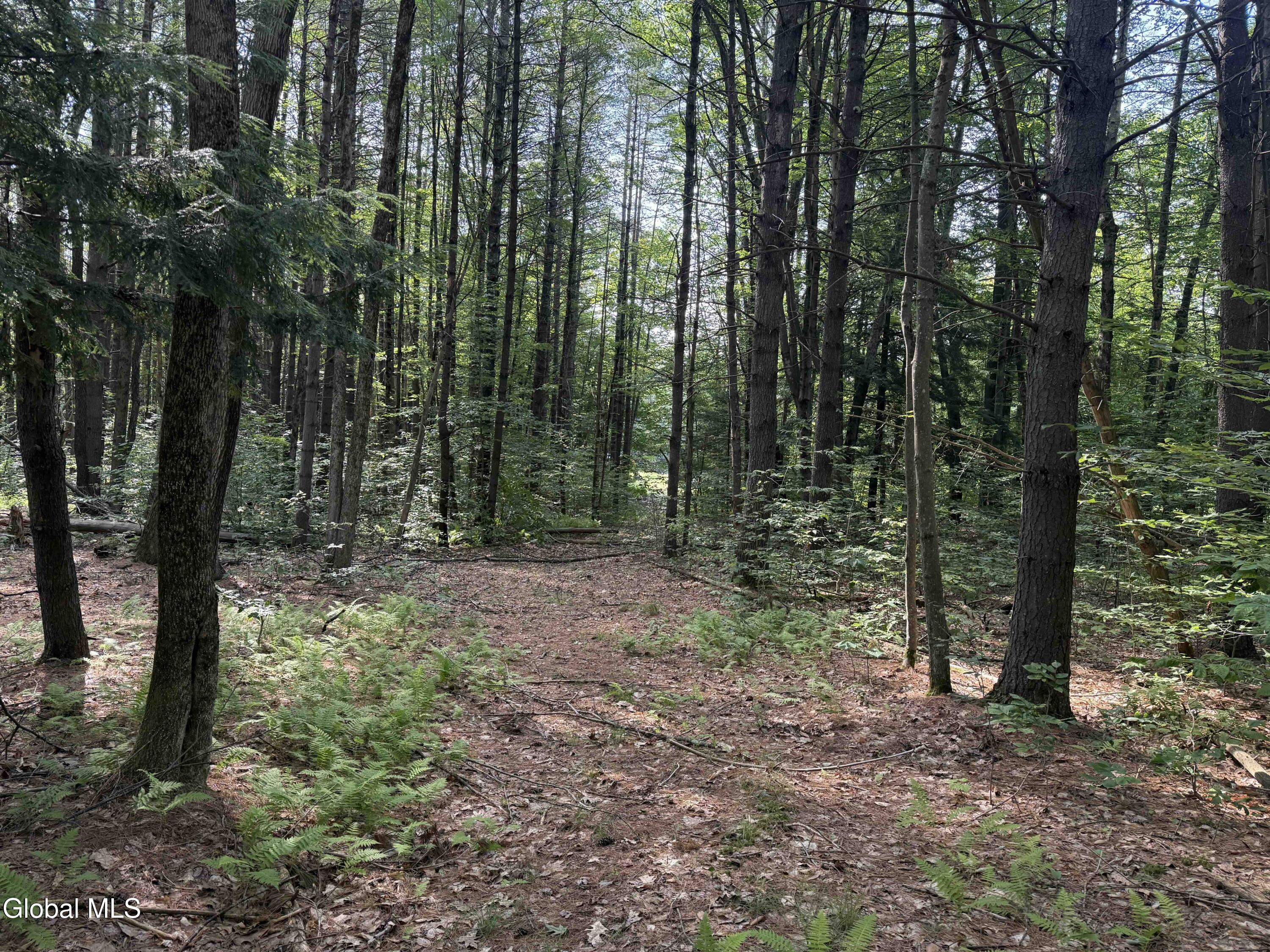 L3 Maple Grove Road Northville, NY 12134 - Photo 16 of 23 Buyea3.5ac15