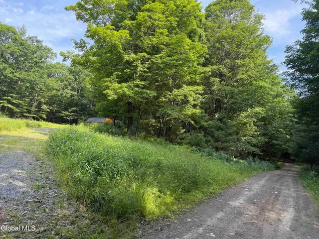 $49,800 | L3 Maple Grove Road, Northville, NY 12134