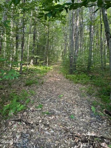 $49,800 | L3 Maple Grove Road, Northville, NY 12134