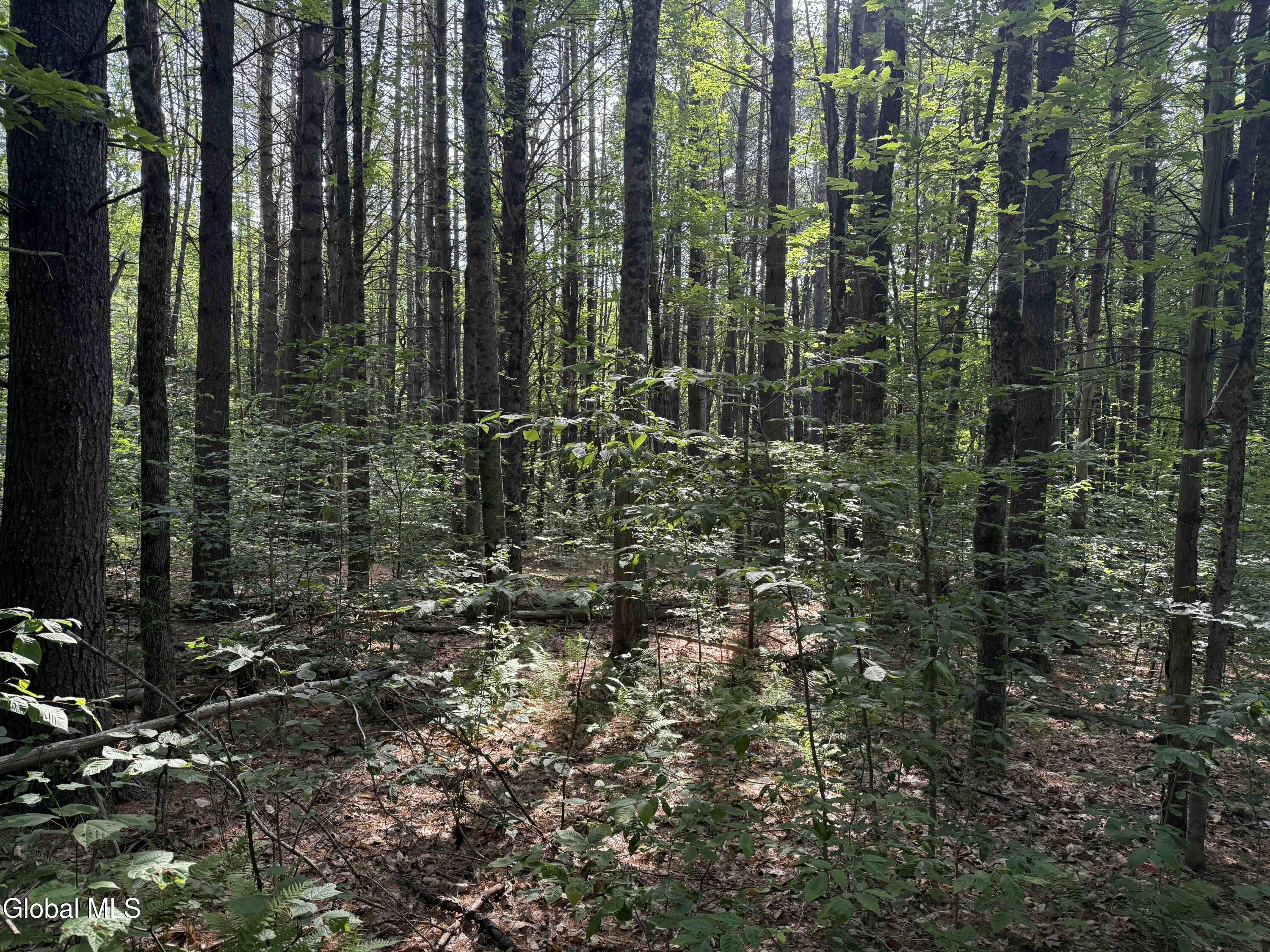 L3 Maple Grove Road Northville, NY 12134 - Photo 9 of 23 Buyea3.5ac8