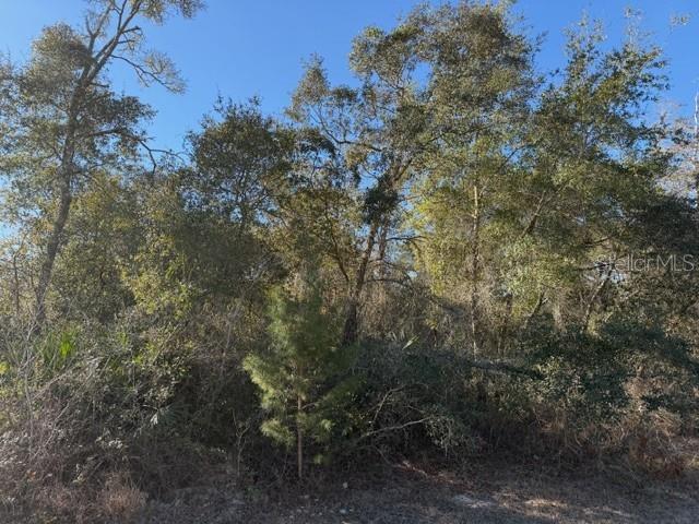 Tbd Southwest 158th St Road Ocala, FL 34473 - Photo 2 of 4