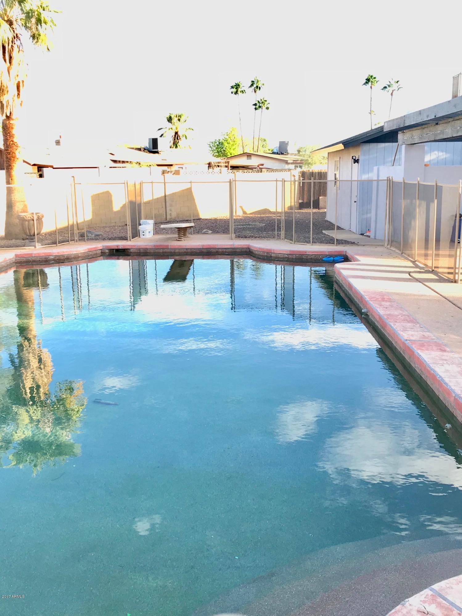 2917 East Bloomfield Road Phoenix, AZ 85032 - Photo 27 of 32 Pool 1
