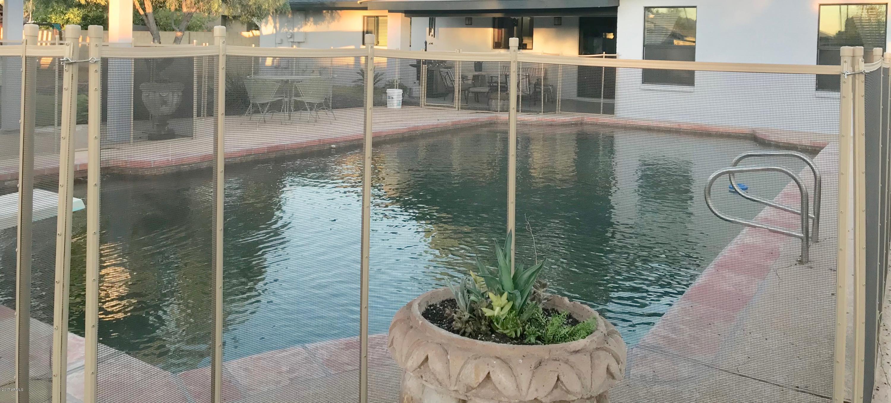 2917 East Bloomfield Road Phoenix, AZ 85032 - Photo 28 of 32 pool 2