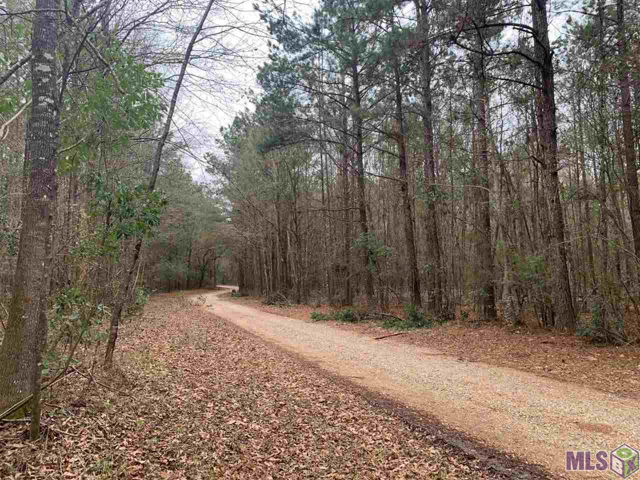 Lot 28 Nesom Road Denham Springs, LA 70706 - Photo 10 of 11 Burkett Lane