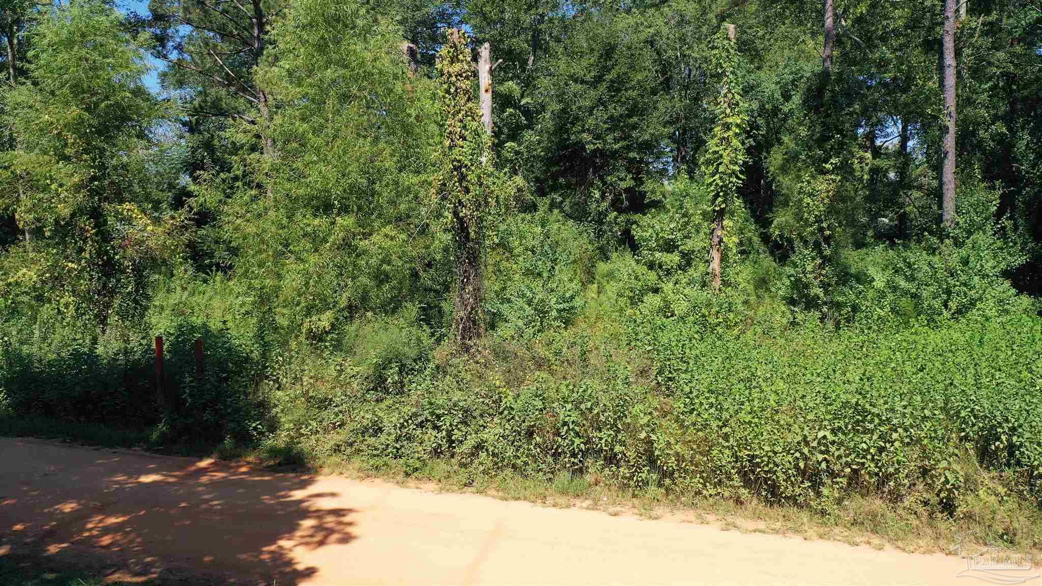 0 Eureka Landing Road Uriah, AL 36480 - Photo 2 of 8