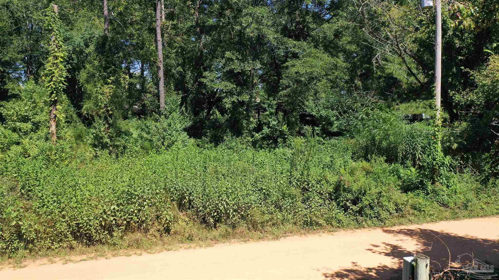 0 Eureka Landing Road Uriah, AL 36480 - Photo 3 of 8