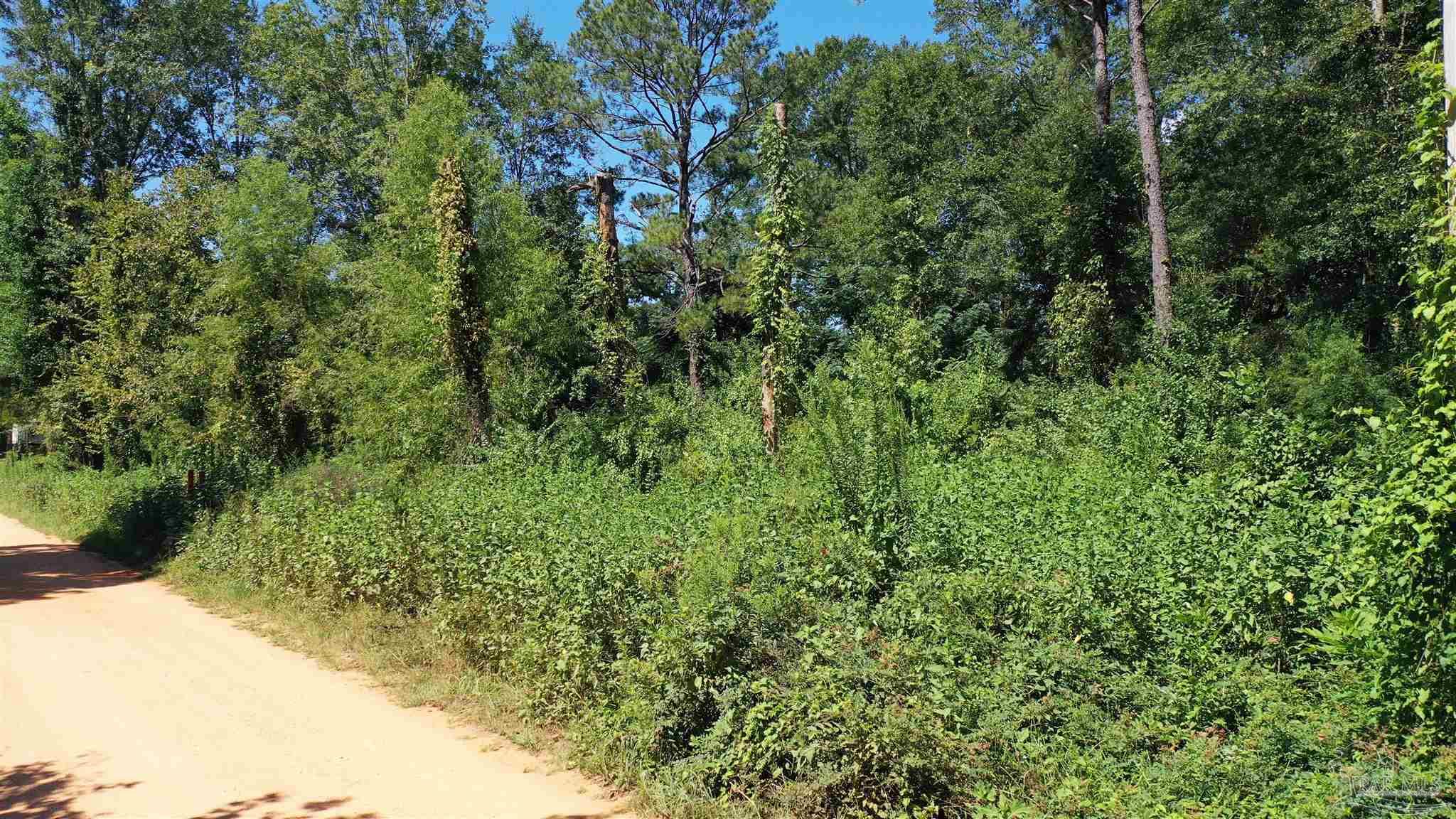 0 Eureka Landing Road Uriah, AL 36480 - Photo 7 of 8