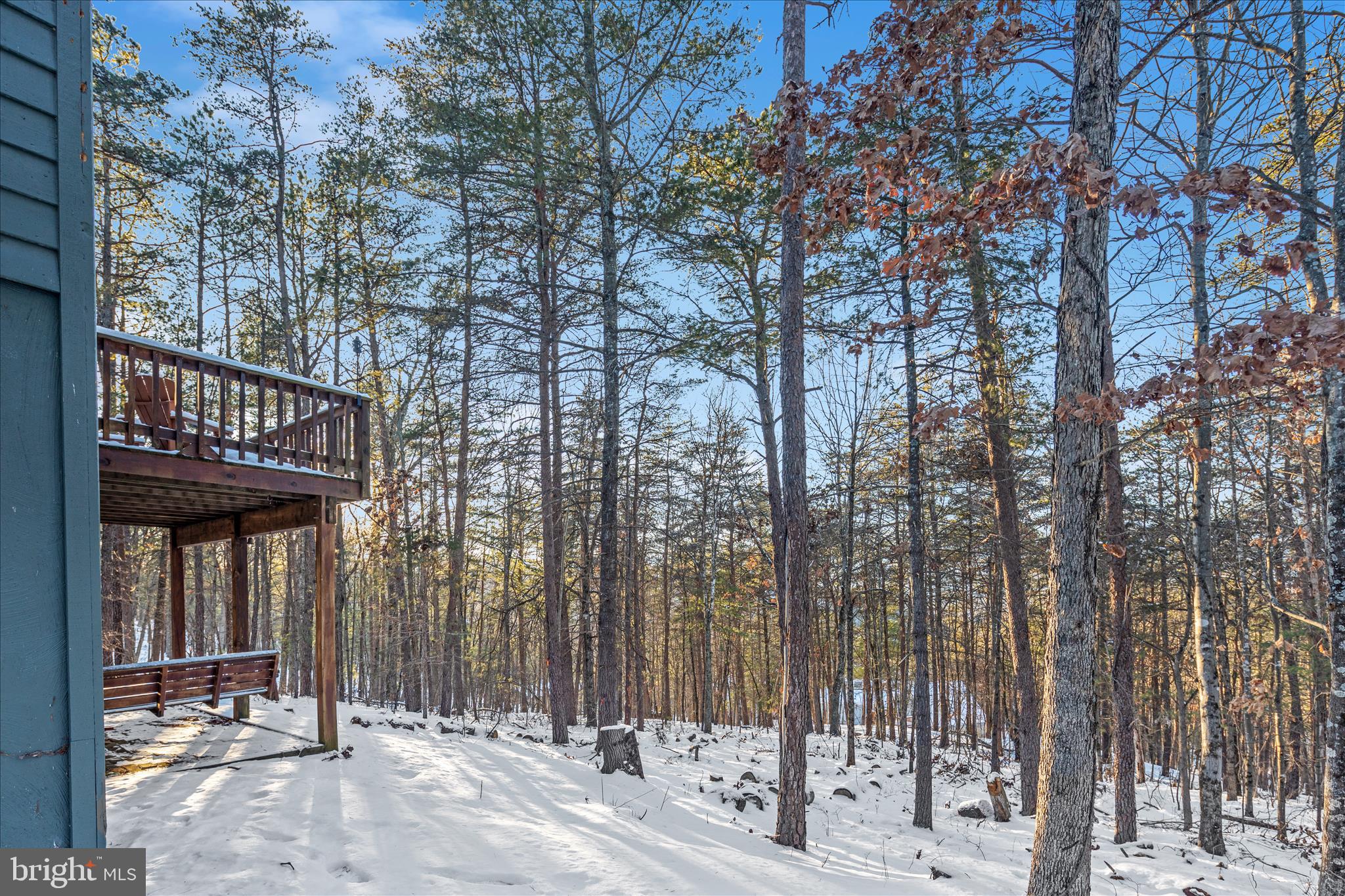 7239 Supinlick Ridge Road Mount Jackson, VA 22842 - Photo 29 of 39 a view of a wooden house with large trees