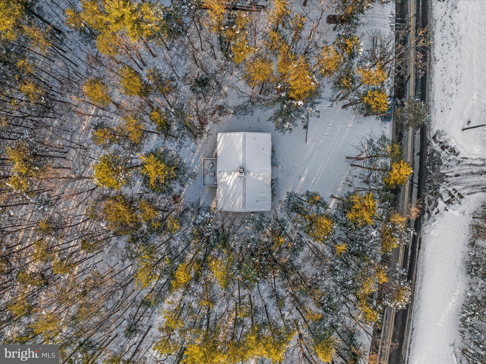 7239 Supinlick Ridge Road Mount Jackson, VA 22842 - Photo 35 of 39 a picture of trees