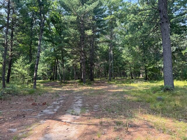 624 West 12th Street Baldwin, MI 49304 - Photo 11 of 17 IMG_1832