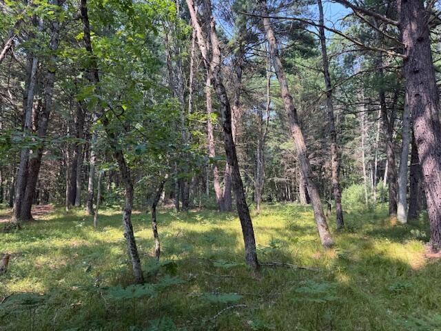 624 West 12th Street Baldwin, MI 49304 - Photo 13 of 17 IMG_1834