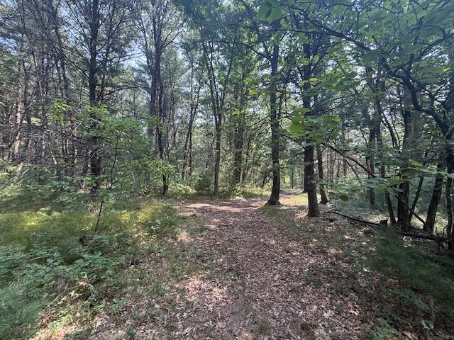 624 West 12th Street Baldwin, MI 49304 - Photo 15 of 17 IMG_1836