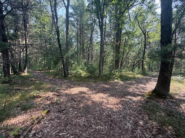 624 West 12th Street Baldwin, MI 49304 - Photo 16 of 17 IMG_1837