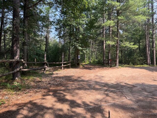 624 West 12th Street Baldwin, MI 49304 - Photo 17 of 17 IMG_1838