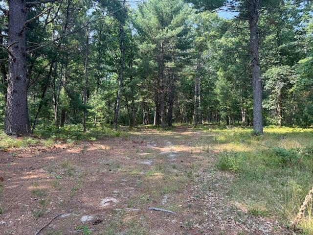 624 West 12th Street Baldwin, MI 49304 - Photo 2 of 17 IMG_1823