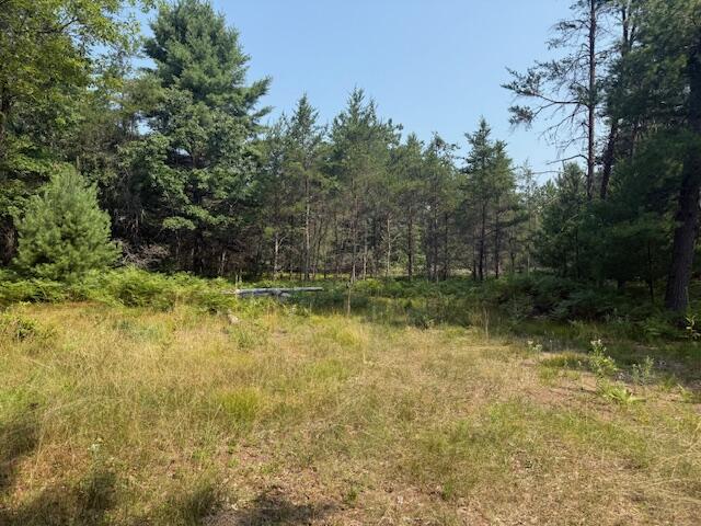 624 West 12th Street Baldwin, MI 49304 - Photo 3 of 17 IMG_1824