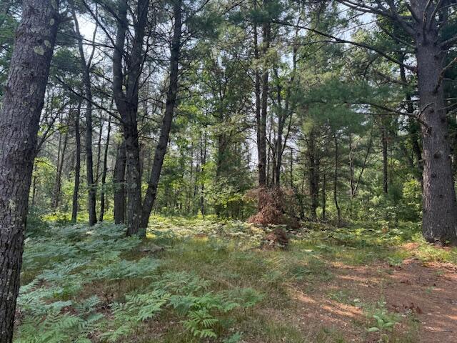 624 West 12th Street Baldwin, MI 49304 - Photo 4 of 17 IMG_1825