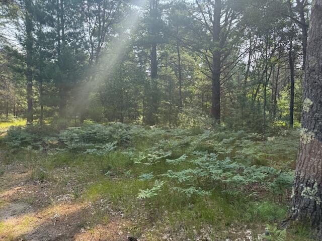 624 West 12th Street Baldwin, MI 49304 - Photo 5 of 17 IMG_1826