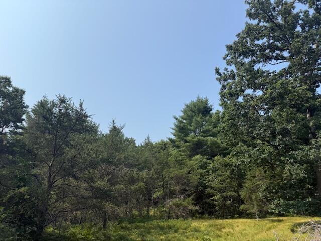 624 West 12th Street Baldwin, MI 49304 - Photo 7 of 17 IMG_1828