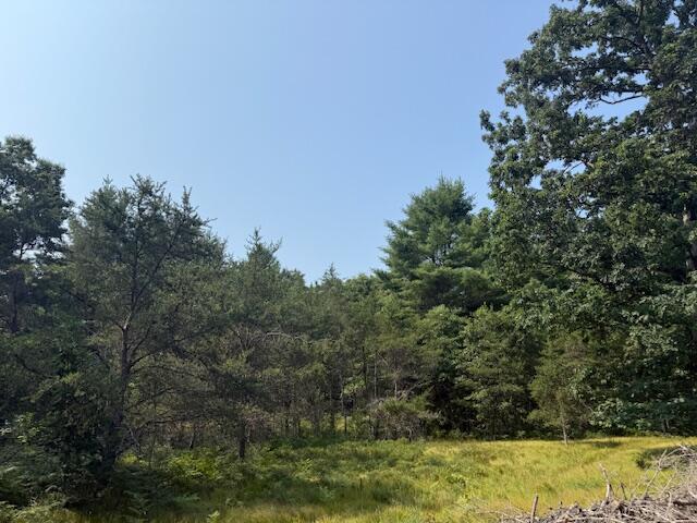 624 West 12th Street Baldwin, MI 49304 - Photo 8 of 17 IMG_1829